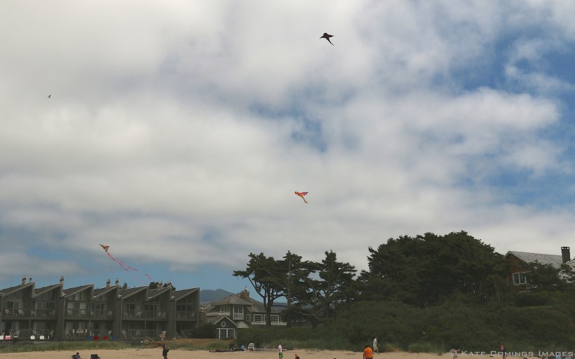 Kites at Cannon Beach